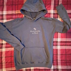 Abercrombie Kids Gray Hoodie with Logo